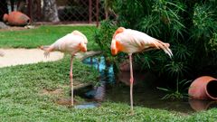 МЕТЕОВЕСТИ - прогноз погоды и новости о погоде от ФОБОС