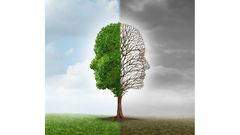 МЕТЕОВЕСТИ - прогноз погоды и новости о погоде от ФОБОС