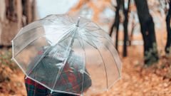МЕТЕОВЕСТИ - прогноз погоды и новости о погоде от ФОБОС