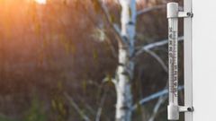 Рекордное тепло