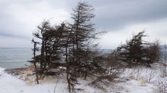 МЕТЕОВЕСТИ - прогноз погоды и новости о погоде от ФОБОС