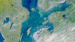 МЕТЕОВЕСТИ - прогноз погоды и новости о погоде от ФОБОС