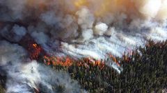 МЕТЕОВЕСТИ - прогноз погоды и новости о погоде от ФОБОС