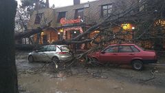 МЕТЕОВЕСТИ - прогноз погоды и новости о погоде от ФОБОС
