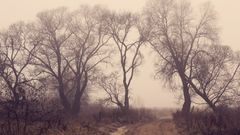 МЕТЕОВЕСТИ - прогноз погоды и новости о погоде от ФОБОС