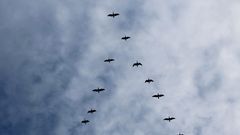 МЕТЕОВЕСТИ - прогноз погоды и новости о погоде от ФОБОС