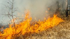 МЕТЕОВЕСТИ - прогноз погоды и новости о погоде от ФОБОС