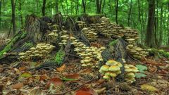 МЕТЕОВЕСТИ - прогноз погоды и новости о погоде от ФОБОС