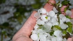 МЕТЕОВЕСТИ - прогноз погоды и новости о погоде от ФОБОС