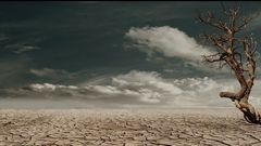 МЕТЕОВЕСТИ - прогноз погоды и новости о погоде от ФОБОС