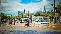 МЕТЕОВЕСТИ - прогноз погоды и новости о погоде от ФОБОС