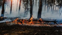 МЕТЕОВЕСТИ - прогноз погоды и новости о погоде от ФОБОС
