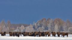 МЕТЕОВЕСТИ - прогноз погоды и новости о погоде от ФОБОС