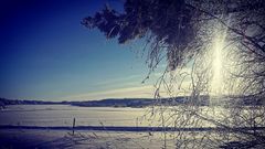 Мороз и солнце