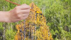 МЕТЕОВЕСТИ - прогноз погоды и новости о погоде от ФОБОС