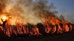 МЕТЕОВЕСТИ - прогноз погоды и новости о погоде от ФОБОС
