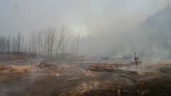 МЕТЕОВЕСТИ - прогноз погоды и новости о погоде от ФОБОС