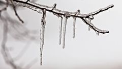 Ледяной дождь