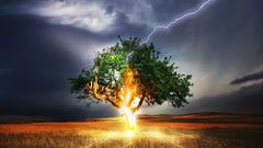 МЕТЕОВЕСТИ - прогноз погоды и новости о погоде от ФОБОС