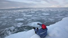 МЕТЕОВЕСТИ - прогноз погоды и новости о погоде от ФОБОС