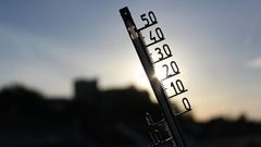 МЕТЕОВЕСТИ - прогноз погоды и новости о погоде от ФОБОС