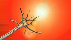 Глобальное потепление