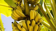 МЕТЕОВЕСТИ - прогноз погоды и новости о погоде от ФОБОС