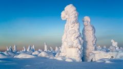 МЕТЕОВЕСТИ - прогноз погоды и новости о погоде от ФОБОС