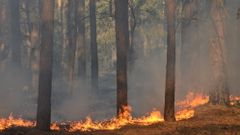 МЕТЕОВЕСТИ - прогноз погоды и новости о погоде от ФОБОС