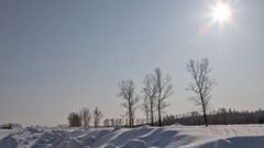 МЕТЕОВЕСТИ - прогноз погоды и новости о погоде от ФОБОС