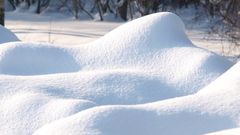 МЕТЕОВЕСТИ - прогноз погоды и новости о погоде от ФОБОС