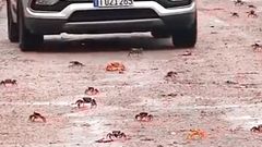 МЕТЕОВЕСТИ - прогноз погоды и новости о погоде от ФОБОС