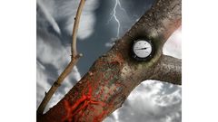 МЕТЕОВЕСТИ - прогноз погоды и новости о погоде от ФОБОС