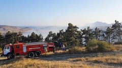 МЕТЕОВЕСТИ - прогноз погоды и новости о погоде от ФОБОС