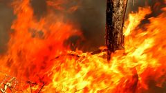 МЕТЕОВЕСТИ - прогноз погоды и новости о погоде от ФОБОС