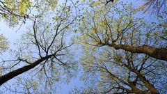 МЕТЕОВЕСТИ - прогноз погоды и новости о погоде от ФОБОС