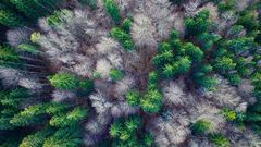 МЕТЕОВЕСТИ - прогноз погоды и новости о погоде от ФОБОС