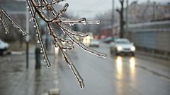 МЕТЕОВЕСТИ - прогноз погоды и новости о погоде от ФОБОС