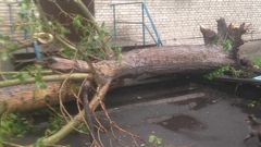 МЕТЕОВЕСТИ - прогноз погоды и новости о погоде от ФОБОС