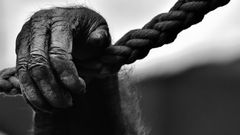 МЕТЕОВЕСТИ - прогноз погоды и новости о погоде от ФОБОС
