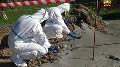 МЕТЕОВЕСТИ - прогноз погоды и новости о погоде от ФОБОС