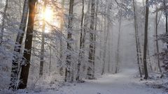 МЕТЕОВЕСТИ - прогноз погоды и новости о погоде от ФОБОС