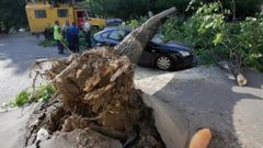 МЕТЕОВЕСТИ - прогноз погоды и новости о погоде от ФОБОС