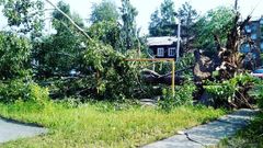 МЕТЕОВЕСТИ - прогноз погоды и новости о погоде от ФОБОС