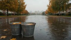 Дождливая осень