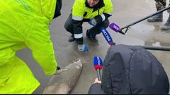 МЕТЕОВЕСТИ - прогноз погоды и новости о погоде от ФОБОС
