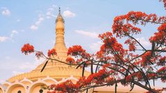 МЕТЕОВЕСТИ - прогноз погоды и новости о погоде от ФОБОС