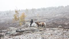 МЕТЕОВЕСТИ - прогноз погоды и новости о погоде от ФОБОС