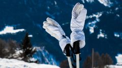 МЕТЕОВЕСТИ - прогноз погоды и новости о погоде от ФОБОС