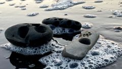 МЕТЕОВЕСТИ - прогноз погоды и новости о погоде от ФОБОС